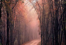 包含CBA常规赛倒计时，犹他爵士窗口期调整名单，细节引发关注，媒体盛赞，赛季目标并未改变的词条-乐鱼电竞